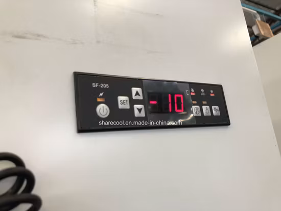 Visualizzazione del contenitore per la conservazione del ghiaccio del merchandiser del ghiaccio con porta in vetro