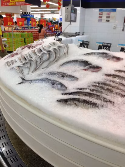 Macchina per la produzione di ghiaccio in scaglie di acqua di mare della migliore qualità Lier per la lavorazione dei frutti di mare (5 T / GIORNO)